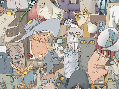 《Busy Cats》gif表情包制作