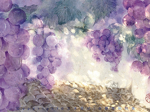 板绘｜葡萄🍇