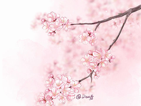 樱花