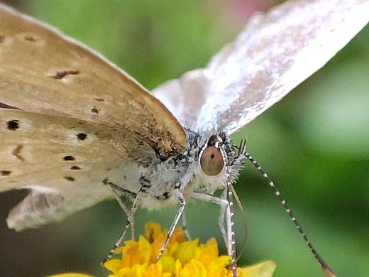 随便拍拍（个人主页-ZMzYzOTYwMzI=） - 其他摄影 - 站酷设计师我是睿智小陈原创素材 - 站酷ZCOOL