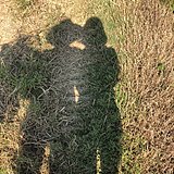 JG的小王子的头像