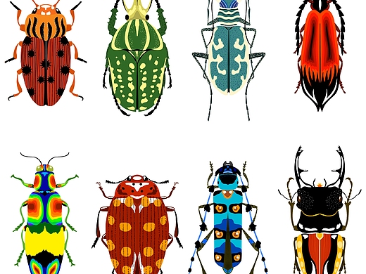 昆虫_创意设计作品图片素材-站酷zcool