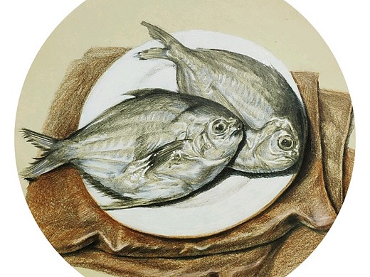 《武昌鱼》素描