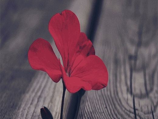 曾经做的各种动效（个人主页-ZMjIxMDMxOTY=） - 交互/UE - 站酷设计师恰恰同学原创素材 - 站酷ZCOOL