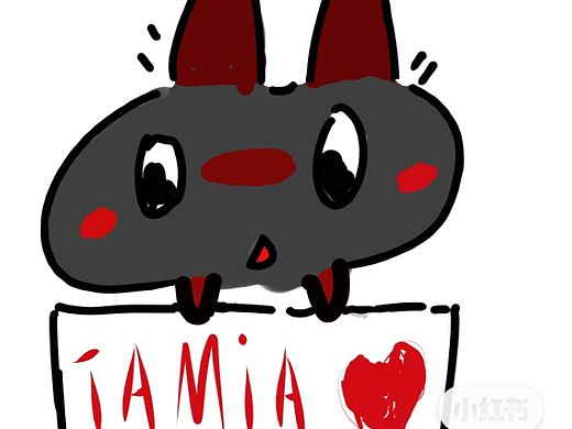 刘涛粉丝应援牌