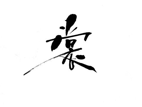 字形设定 