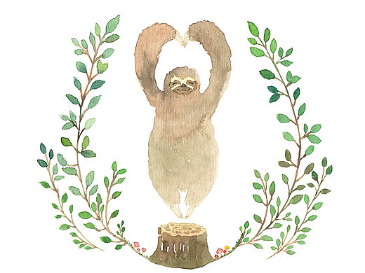 小动物和它们的宝贝植物们