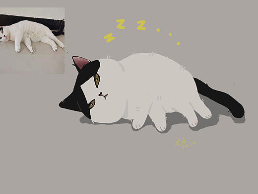 我的猫为什么变成这样了