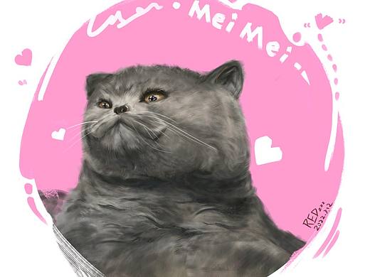 小蓝猫（个人主页-ZNTg1MDc2NzY=） - 创作习作 - 站酷设计师REDzzz原创素材 - 站酷ZCOOL