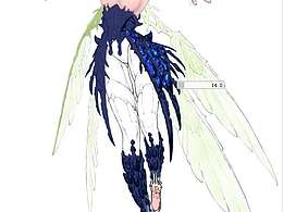 隨手涂鴉（有的線稿是借用別人的）