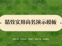 精致实用商务演示PPT模板