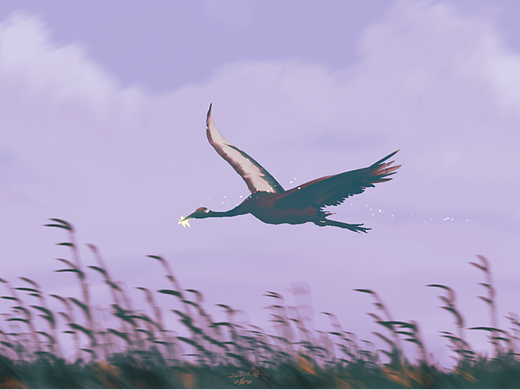 喵子的速涂练习