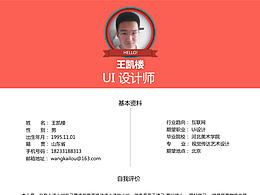 UI设计师简历