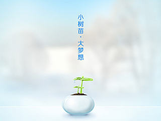 树苗天气