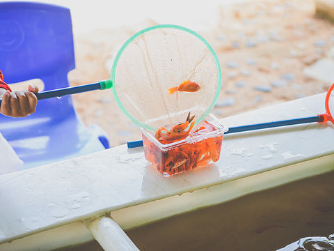 撈魚小記（個(gè)人主頁-ZMjE2MDc1MDQ=） - 人文/紀(jì)實(shí)攝影 - 站酷設(shè)計(jì)師Pcooooool原創(chuàng)素材 - 站酷ZCOOL