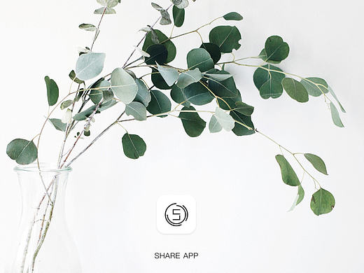 《share》原创社交类app