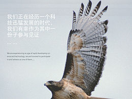 畫冊原創(chuàng)設(shè)計