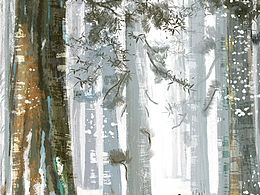 啊，迷路了…