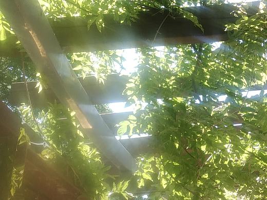 請請情親（個人主頁-ZNTk4MTEzNTY=） - 美食攝影 - 站酷設(shè)計師神奇的莫非原創(chuàng)素材 - 站酷ZCOOL