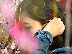 带到春花烂漫时