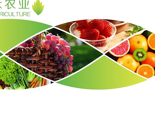 農(nóng)業(yè) 水果 企業(yè) 畫冊（個(gè)人主頁-ZMTQ0MDg1NDQ=） - 書籍/畫冊 - 站酷設(shè)計(jì)師干了這碗像素原創(chuàng)素材 - 站酷ZCOOL