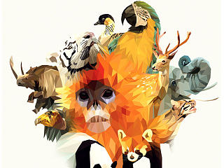 动物海报《归宿》