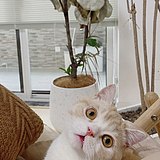 次次心动的头像