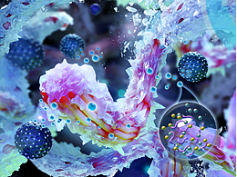 Chem Soc Rev期刊封面设计