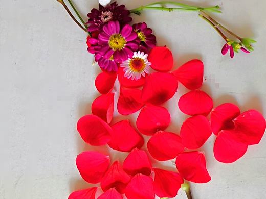 古有黛玉葬花,今有残瓣弄画