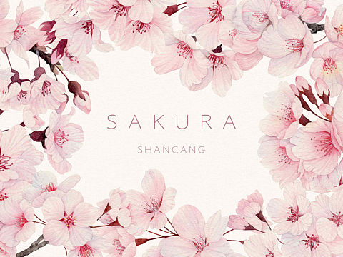 与你相遇在樱花树下