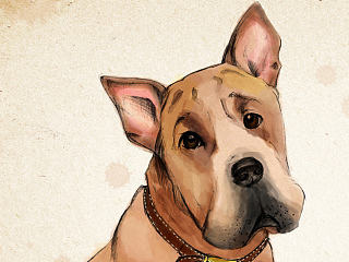 皮皮（个人主页-ZNTE4NjE5Ng==） - 商业插画 - 站酷设计师wons819原创素材 - 站酷ZCOOL