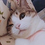 wxhhuizi27的头像