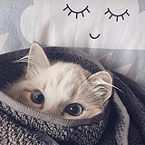 怪怪的设计师的头像
