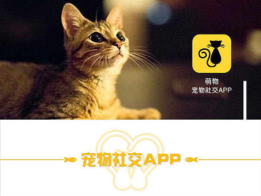 宠物APP