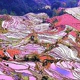 灿若星晨_的头像