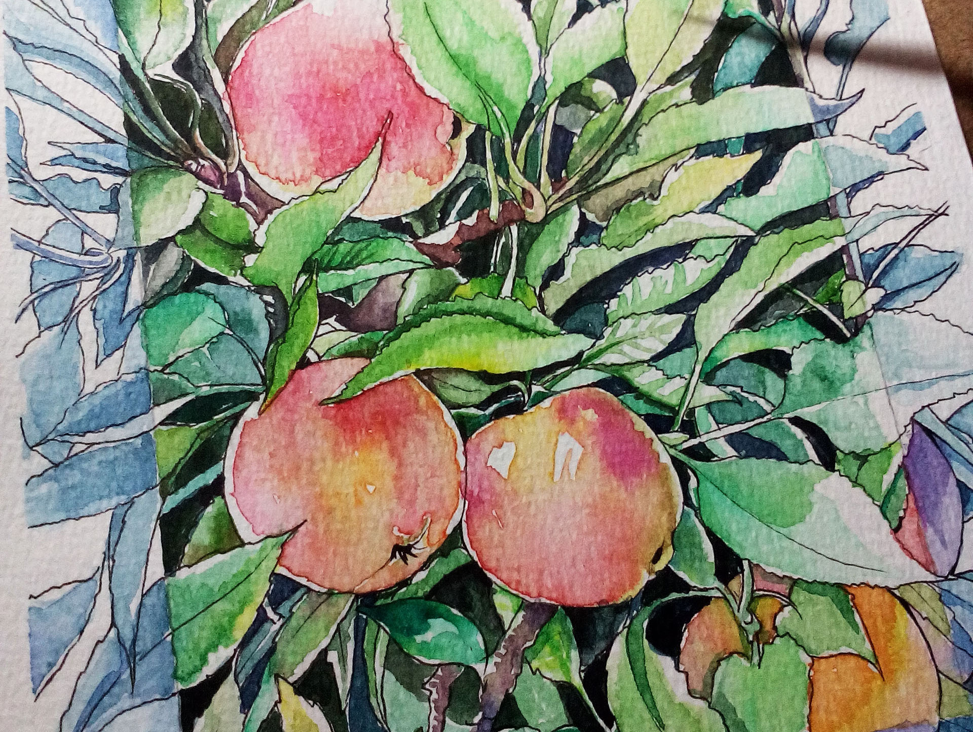 水彩系列练习——《苹果树》