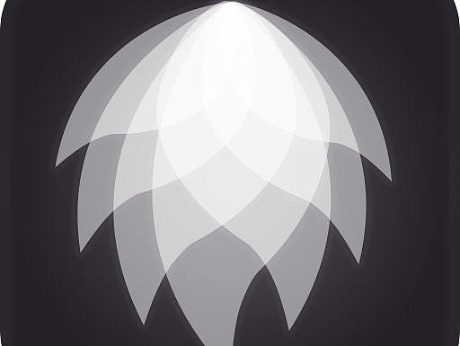 ipad-定制婚纱APP