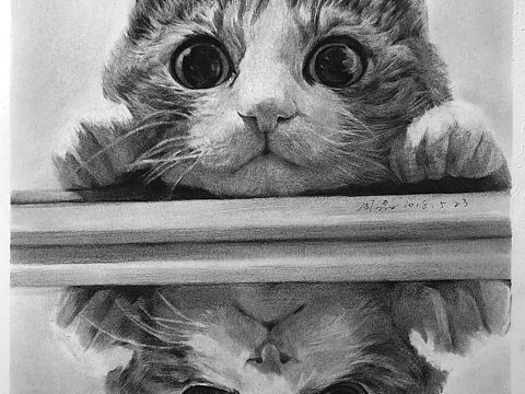 猫素描