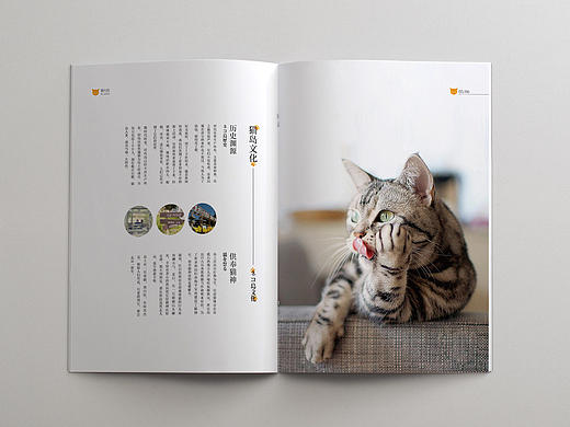 训练营科目十二练习《猫之岛》