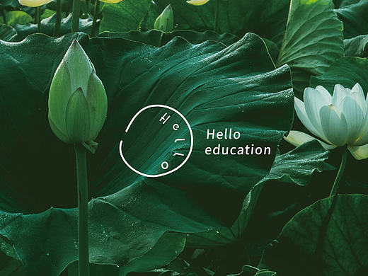 荷露Hello教育 品牌设计