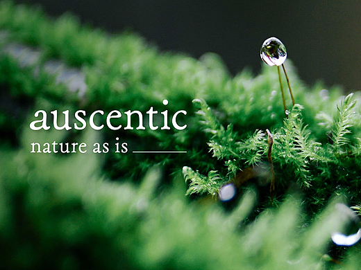 auscentic by GREENVINES 品牌上線視覺設計全案