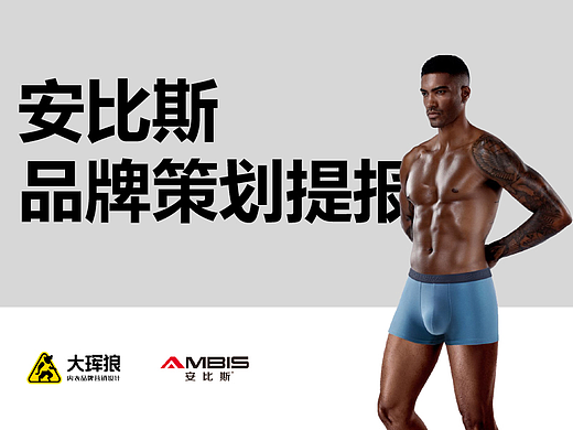 安比斯内裤品牌策划设计方案