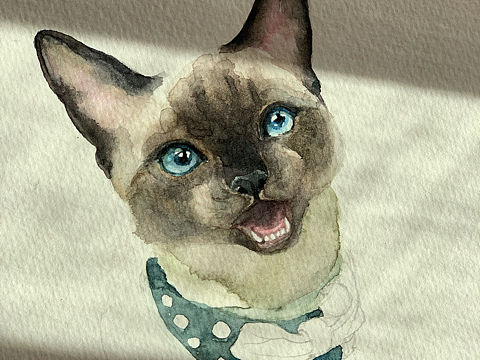 表贝们 画头像了~