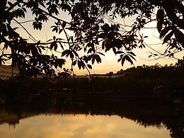 麗澤湖畔看余暉