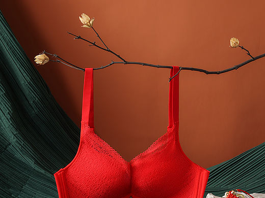 本命年文胸（个人主页-ZNTI2MDE3NjQ=） - 产品摄影 - 站酷设计师60Kggg原创素材 - 站酷ZCOOL