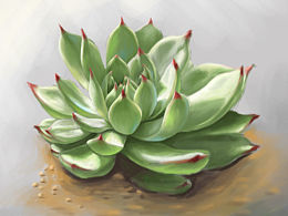 几张画的作画过程