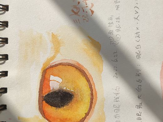 水彩（其实是水粉😂）