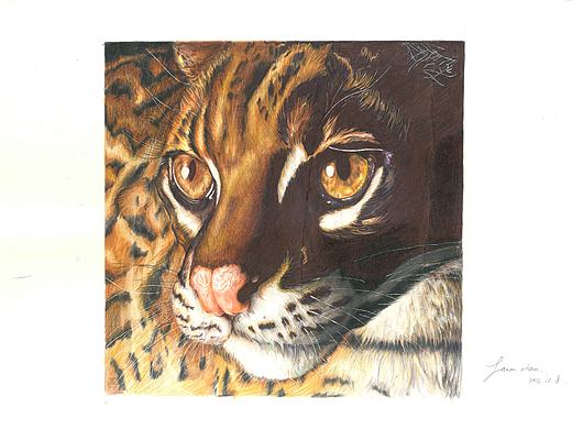 豹猫（个人主页-ZMTkyMjUwOTY=） - 绘画 - 站酷设计师陈贤槿原创素材 - 站酷ZCOOL