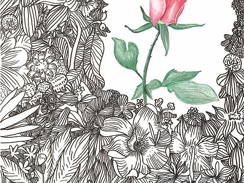 七夕（个人主页-ZMzgxOTYxODQ=） - 艺术插画 - 站酷设计师Z39627654原创素材 - 站酷ZCOOL