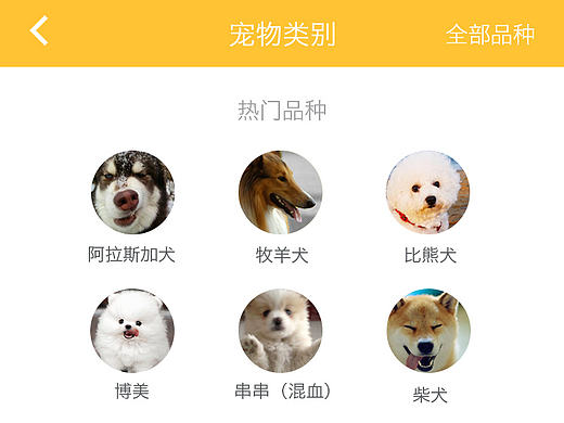 APP 界面 UI GUI ICON 界面详情 50个界面 演示 图标（个人主页-ZMTc3MDA3MTI=） - APP界面 - 站酷设计师美工吴志祥原创素材 - 站酷ZCOOL